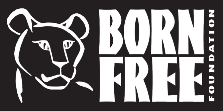 Born Free Foundation Logo